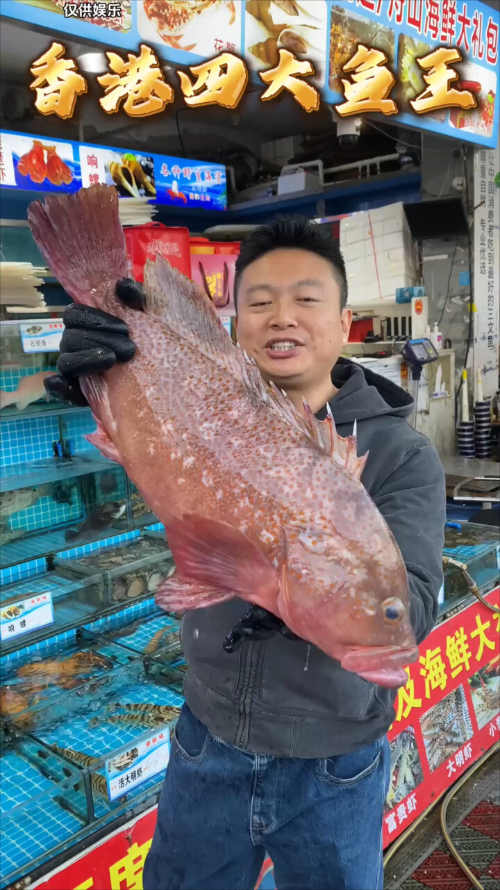 香港四大鱼王，究竟谁才是真正的鱼王之王？_腾讯新闻