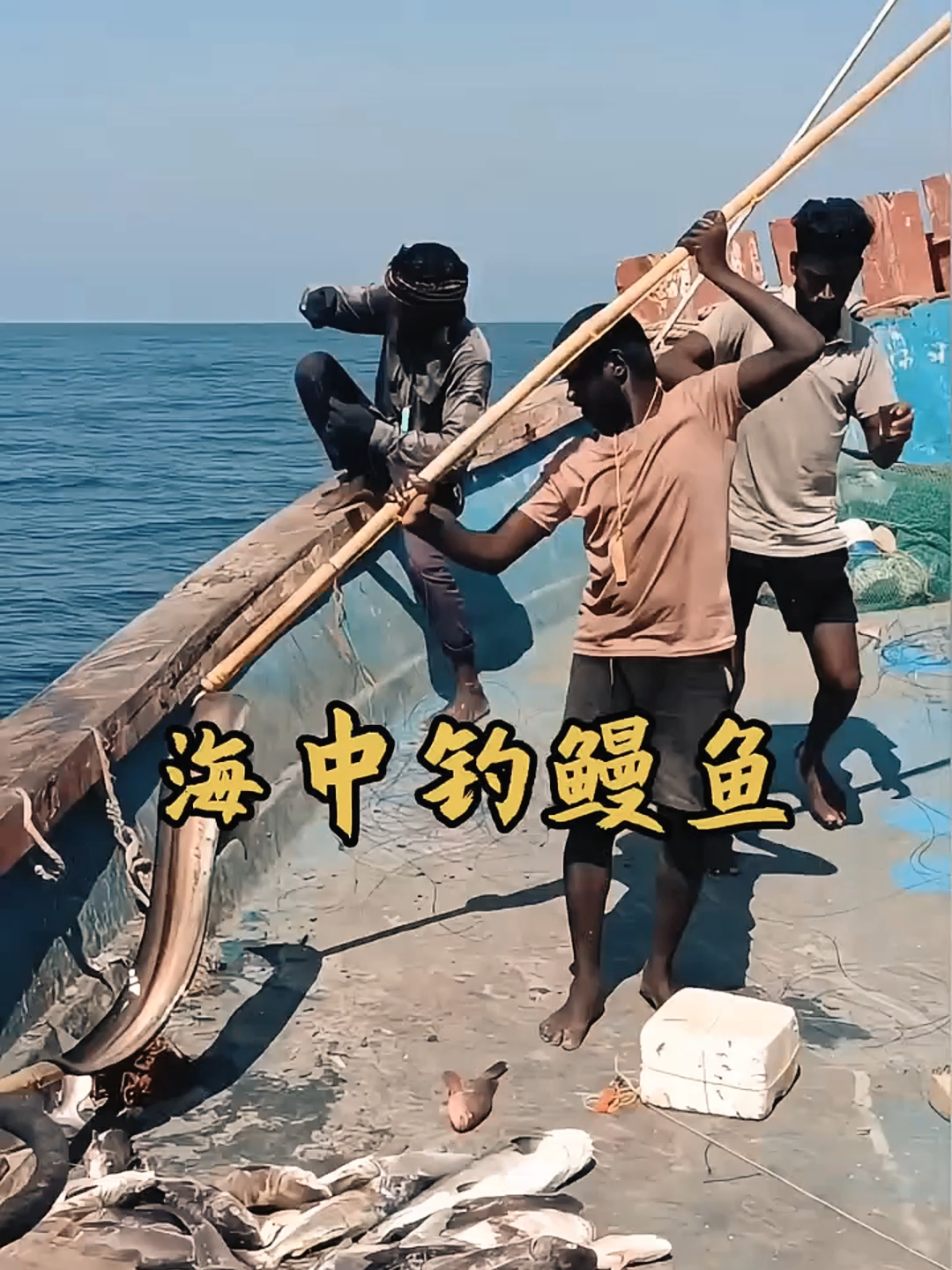 大海之上捕捞鳗鱼！渔民驾船出海，全力捕捞鲜活鳗鱼_腾讯新闻