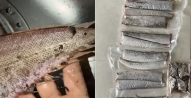 女子买5份海鲜3份仅退款，商家气愤跨省赶来质问：就是恶意的，想不花钱吃东西，如果同个店铺东西不好，你还会三番五次买吗？女子：已报警缩略图