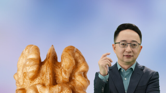 营养还是有害，核桃褐皮留不留？_腾讯新闻