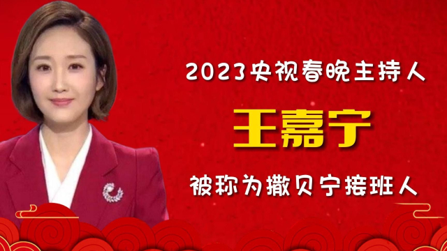 春晚主持天团 | 从2019主持人大赛脱颖而出，非科班的王嘉宁未来可期_腾讯新闻