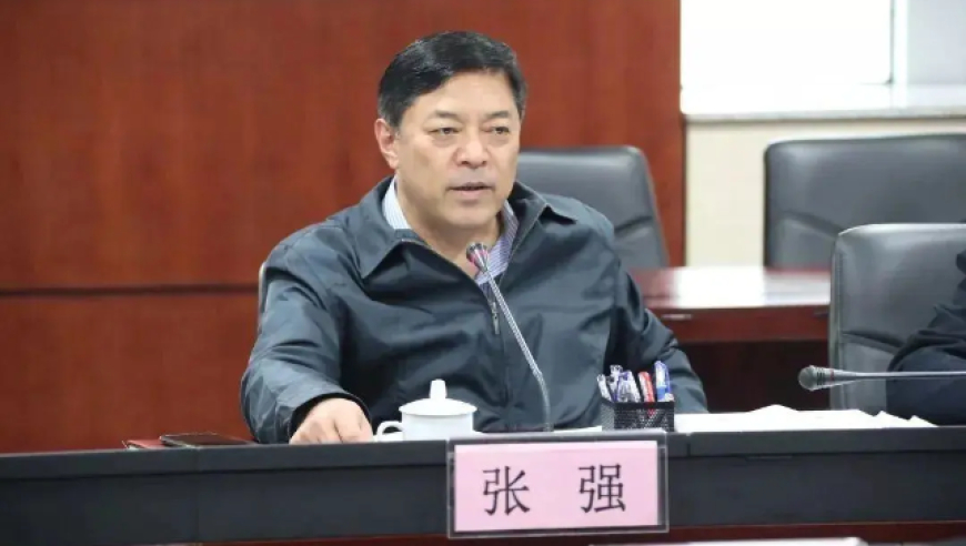当过珠海市公安局局长、市委政法委书记，张强被查