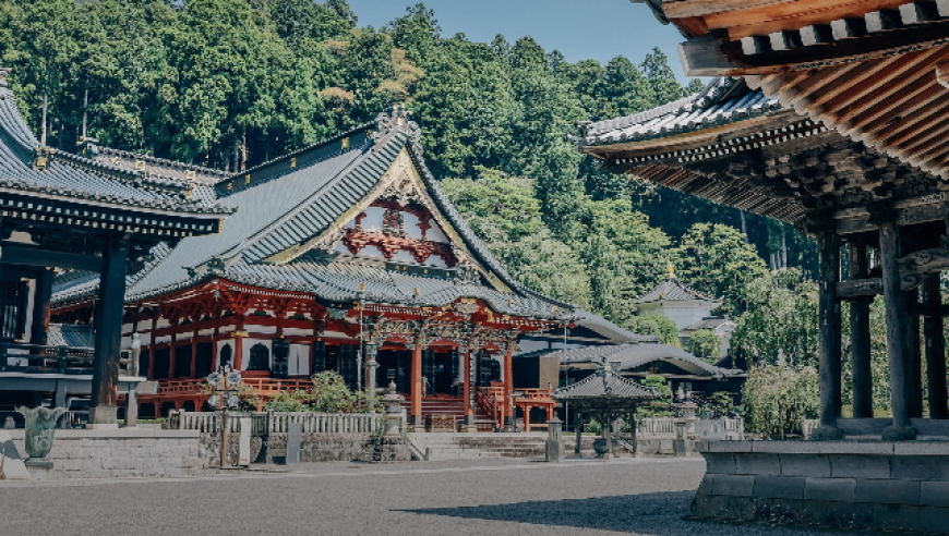 中国富豪砸千万买日本寺庙？7成买家遭遇暴雷陷阱！