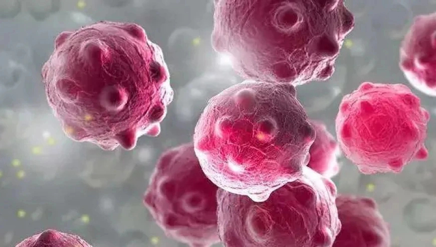 广东佛山一中学103人感染诺如病毒