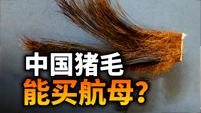 中国猪毛能买航母？中国猪鬃在抗战时期发挥了多大作用？_腾讯新闻
