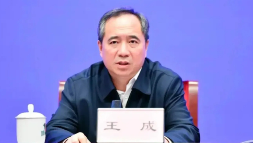 浙江省委常委、组织部部长王成任浙江省委副书记