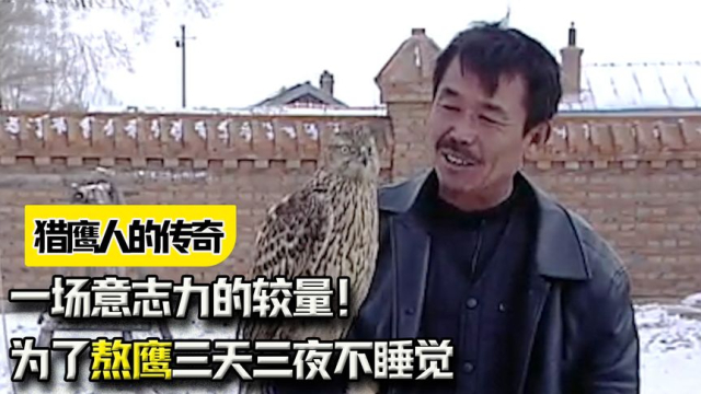 纪录片：中国最后的驯鹰人，为了熬鹰三天三夜不睡觉，一场意志力的较量！_腾讯新闻