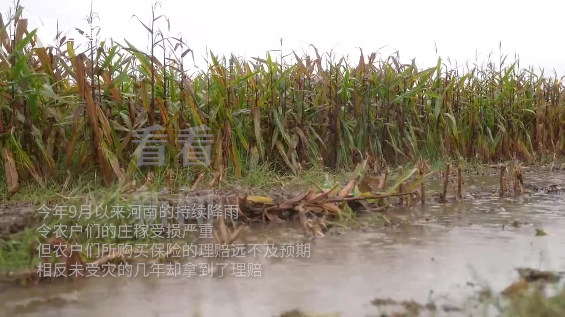 恶劣天气绝收理赔不足 风调雨顺为何也能理赔？_腾讯新闻