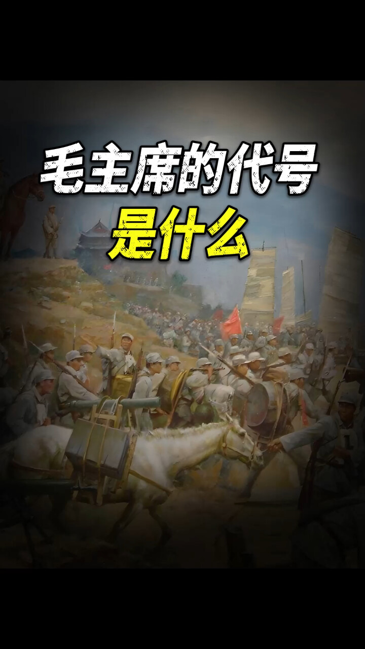 林彪代号101，粟裕是502，毛主席的代号是什么？_腾讯新闻