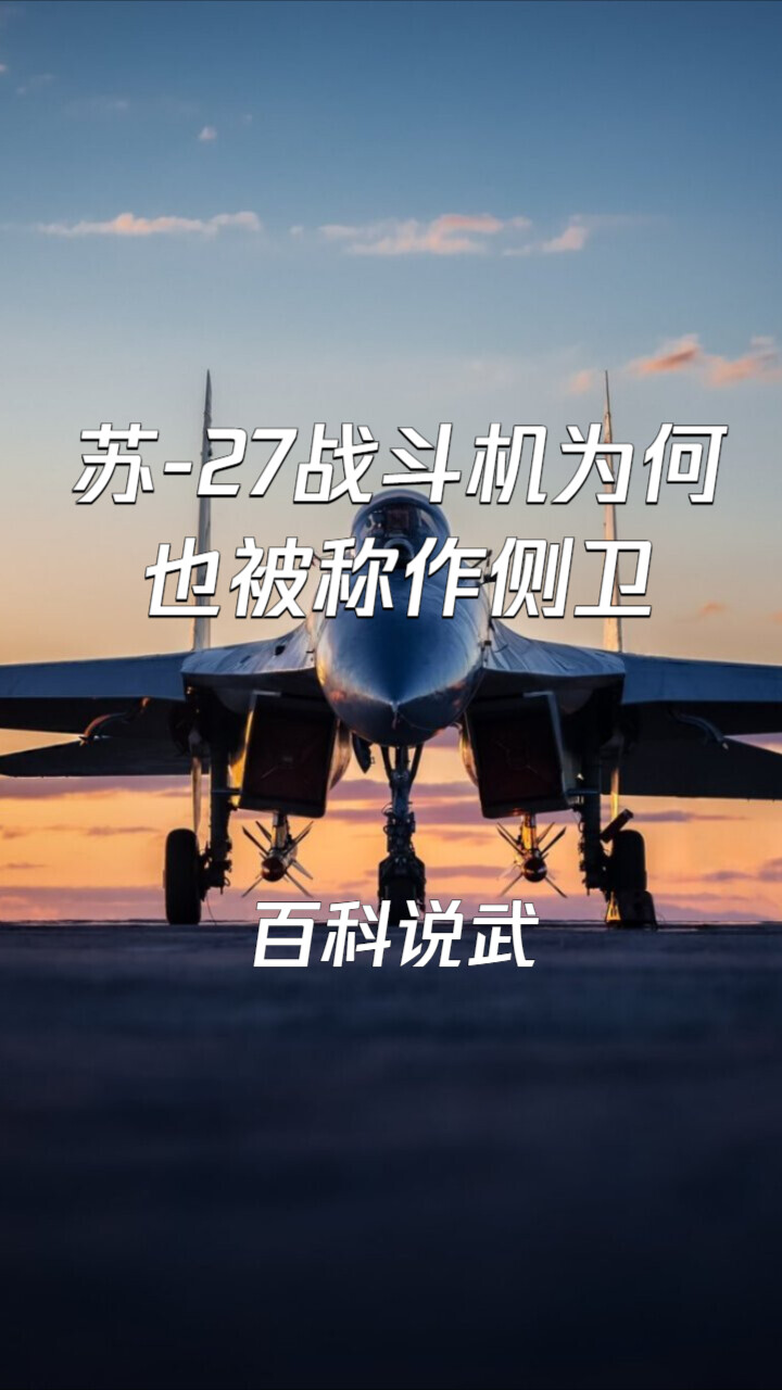 苏-27战斗机为何也被称作“侧卫”？_腾讯新闻