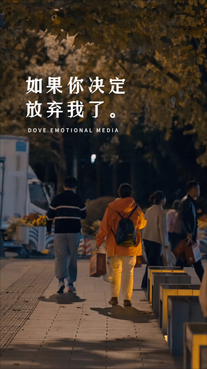 《我决定放弃你了》完整版资源