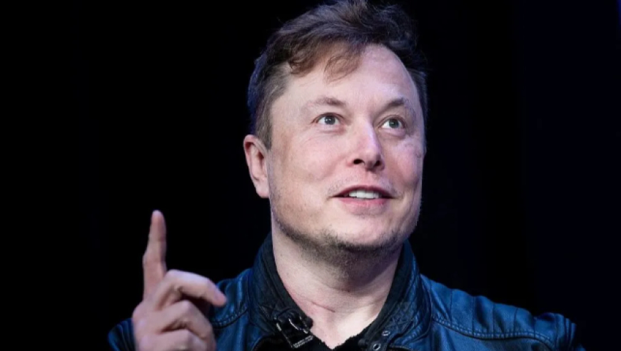 Musk's Shift, Government Efficiency Overhaul, and Cabinet Power Dynamics