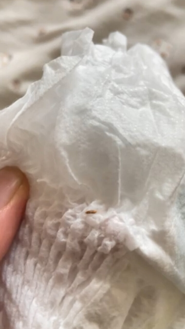 女子称网购纸尿裤开包发现有活虫:幸亏没给孩子换上,商家一直推卸责任