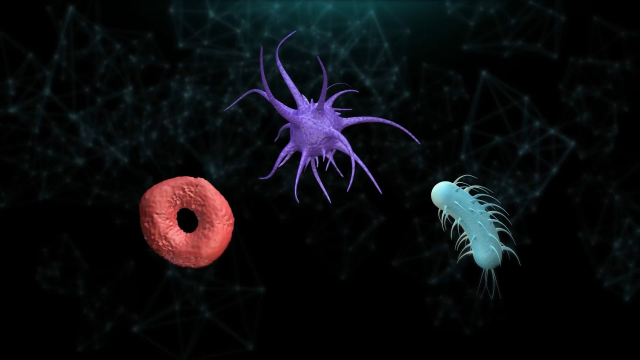 黄石狂野的斑斓之色源自微生物，古菌和细菌其实大不相同！_腾讯新闻