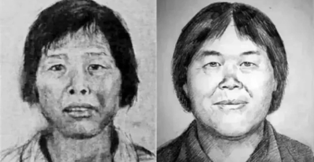 人贩子“梅姨”落网，这起案件侦破最大的技术难点是什么？警方23年间都做过哪些努力？_腾讯新闻