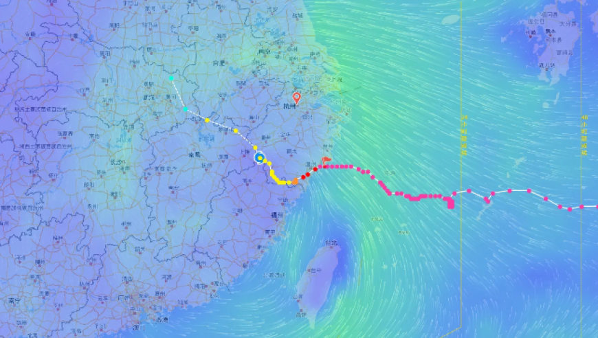 『专题』“白海豚”突然大拐弯，走出罕见路线
