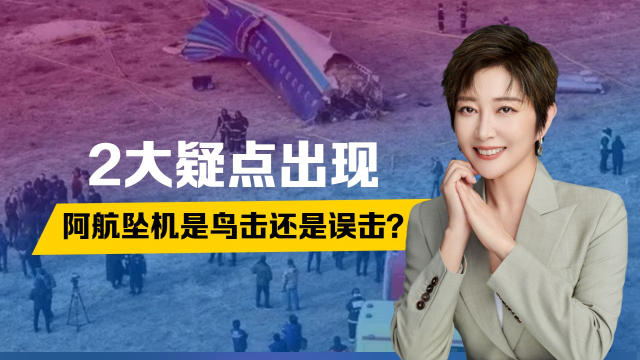 2大疑点出现，阿航坠机是鸟击还是误击？_腾讯新闻