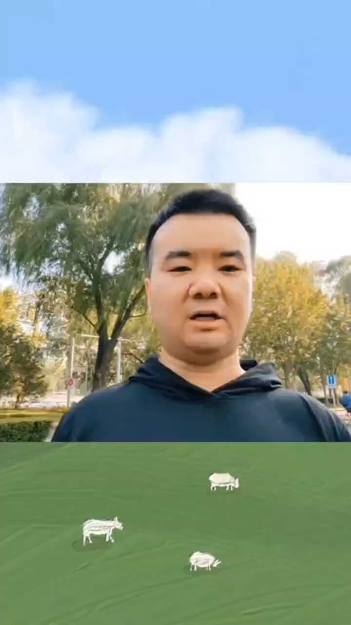 10月30日玉米市场情况_腾讯新闻