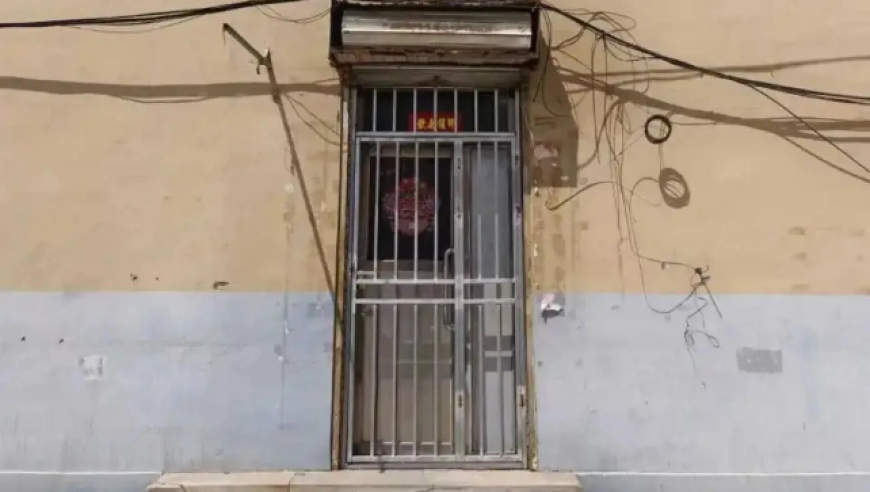 专家教你高考怎么报志愿