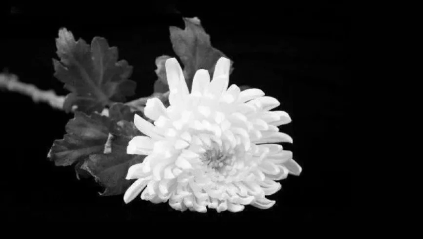 贺光辉同志逝世