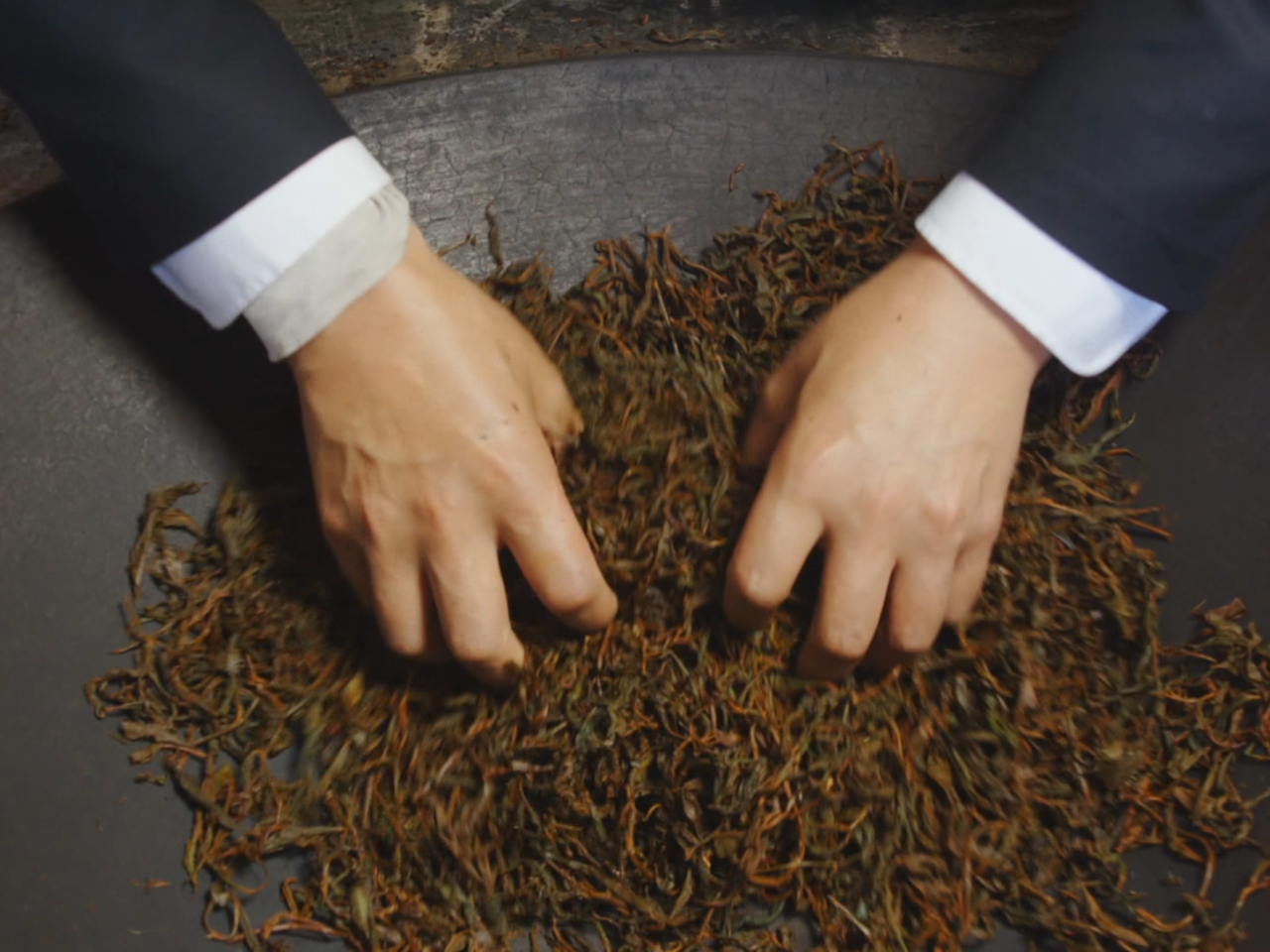 何以中国｜对话骏德茶厂总经理梁添梦：解码桐木红茶生态密码与文化基因_腾讯新闻
