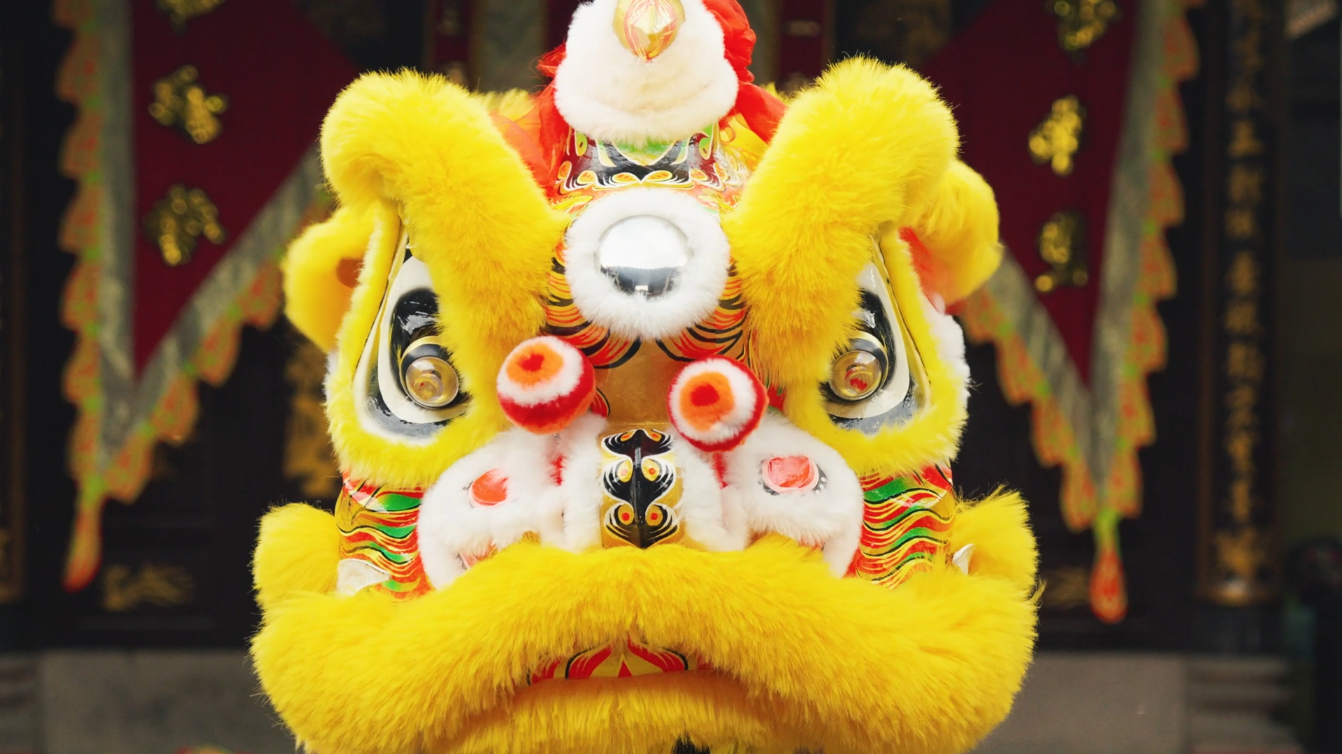 原来醒狮颜色有这么多讲究！醒狮采青代表生财，这就是独属于中国人的浪漫_腾讯新闻