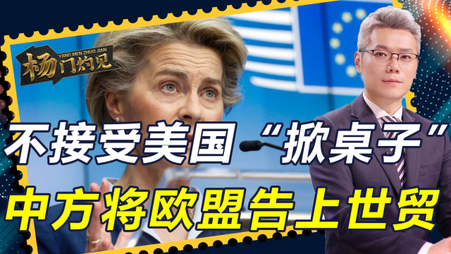 中方将欧盟诉诸世贸，用行动捍卫公平正义_腾讯新闻