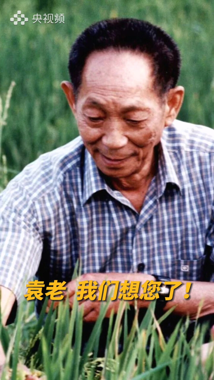 袁隆平的最大愿望是:"饭碗要牢牢地掌握在中国人自己手上!" 致敬袁老!
