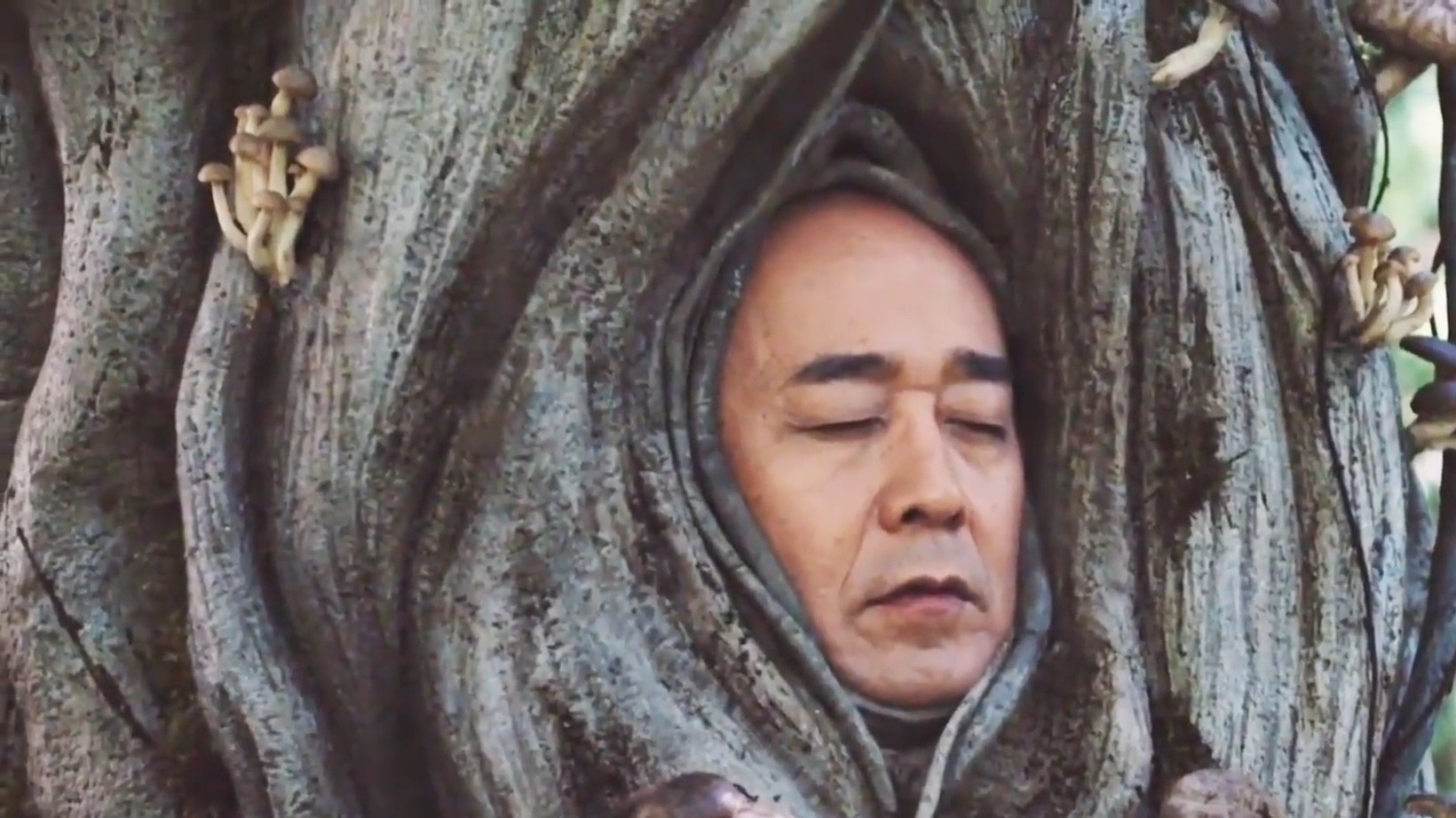 一棵千年的古树上竟然长出了一张人脸，奇幻喜剧《蘑菇大树》_腾讯新闻