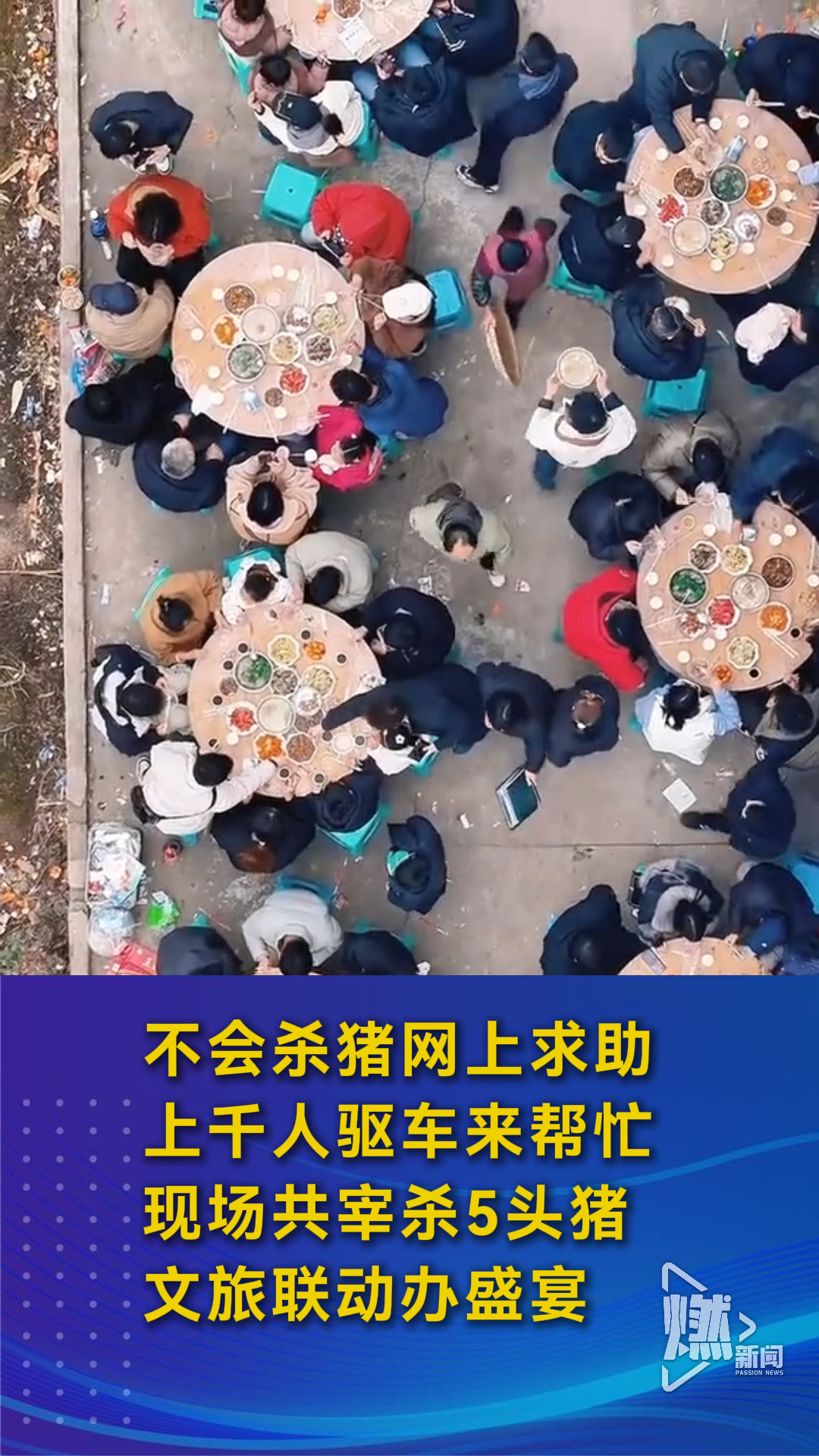 不会杀猪网上求助 上千人驱车来帮忙现场共宰杀5头猪 文旅联动办盛宴_腾讯新闻
