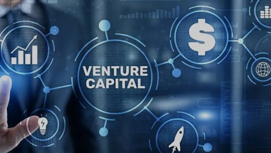 硬科技VC，倒闭了