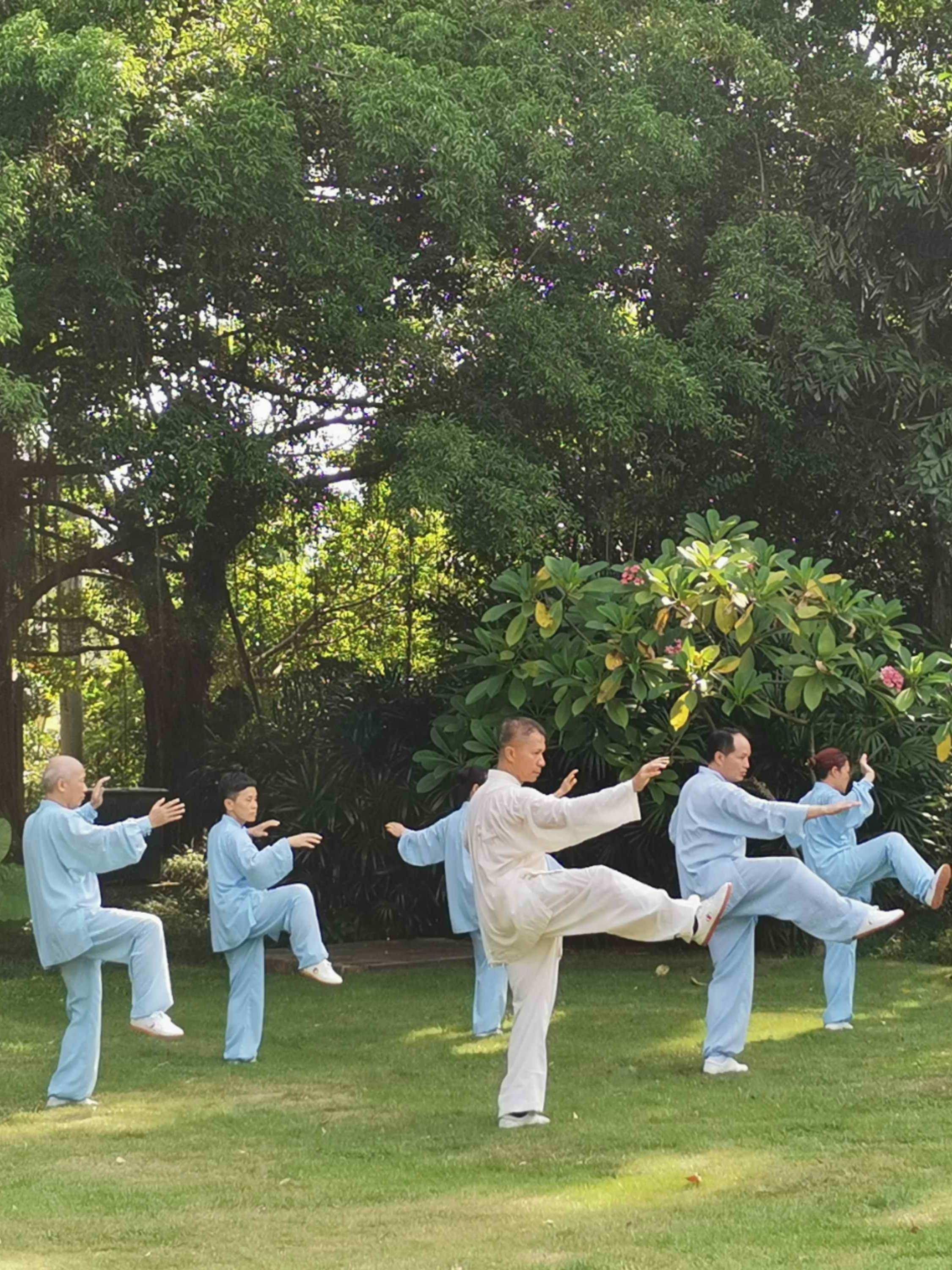 太极四两拨千斤的奥妙，实则暗藏以柔克刚杀招_腾讯新闻