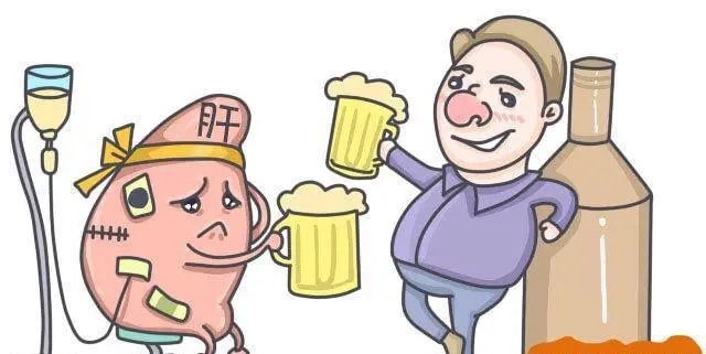 (过量饮酒对肝损伤最大)什么人能喝酒?为何酒量可以练出来?
