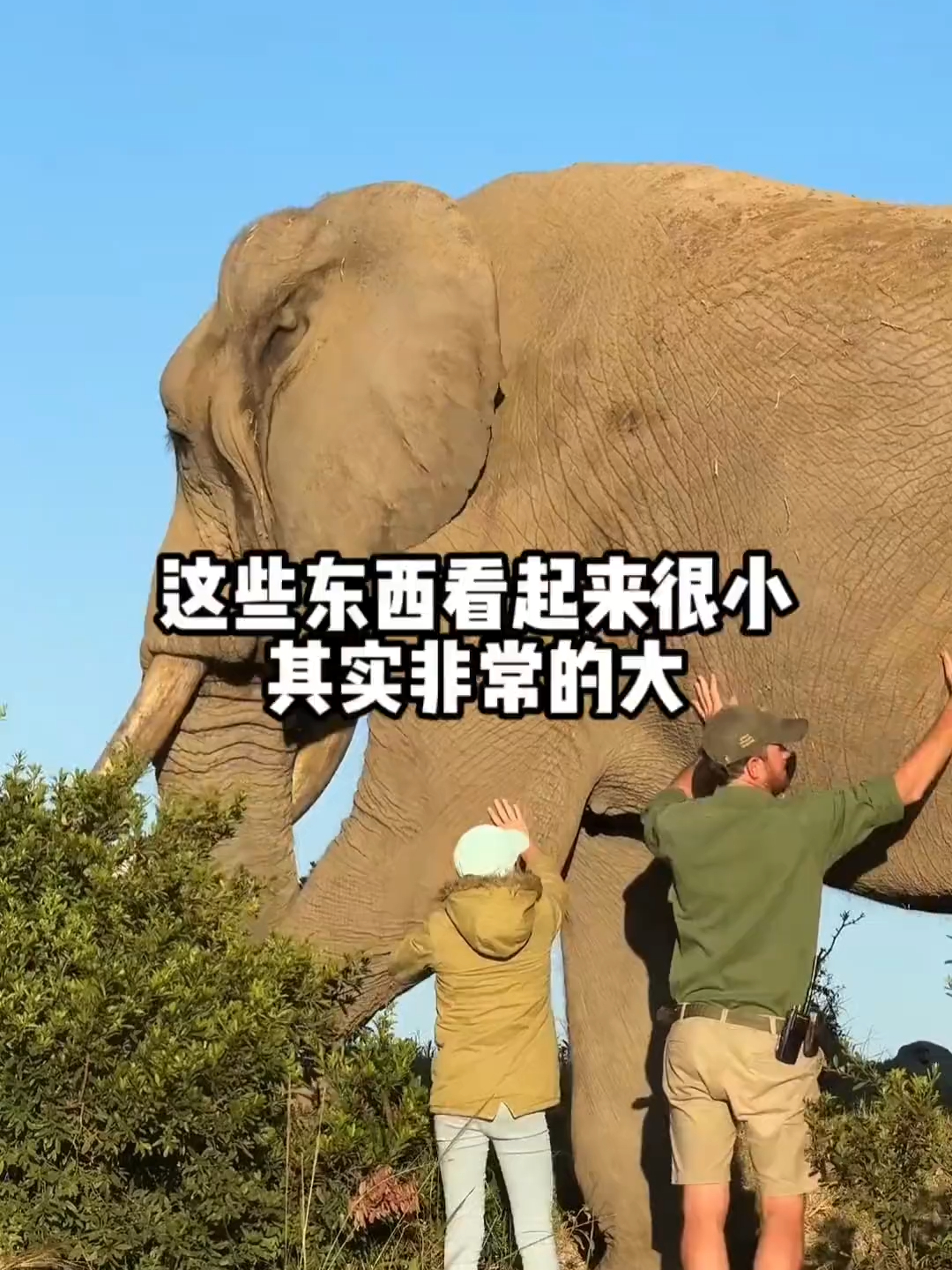 那些看起来很小，其实很大的东西_腾讯新闻