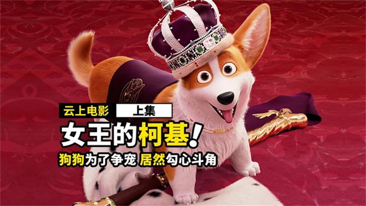狗狗为了争宠，居然上演宫斗剧，喜剧动画《女王的柯基》_腾讯新闻
