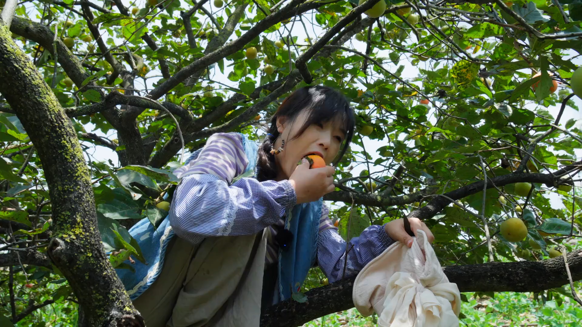 俗话说“远亲不如近邻”近邻就是亲人! 在我们村,大家都很熟悉，互相帮衬，互相扶持_腾讯新闻