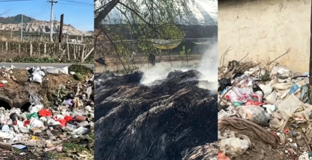 恶臭弥漫、垃圾围村！总台《财经调查》曝光多地违法倾倒乱象_腾讯新闻