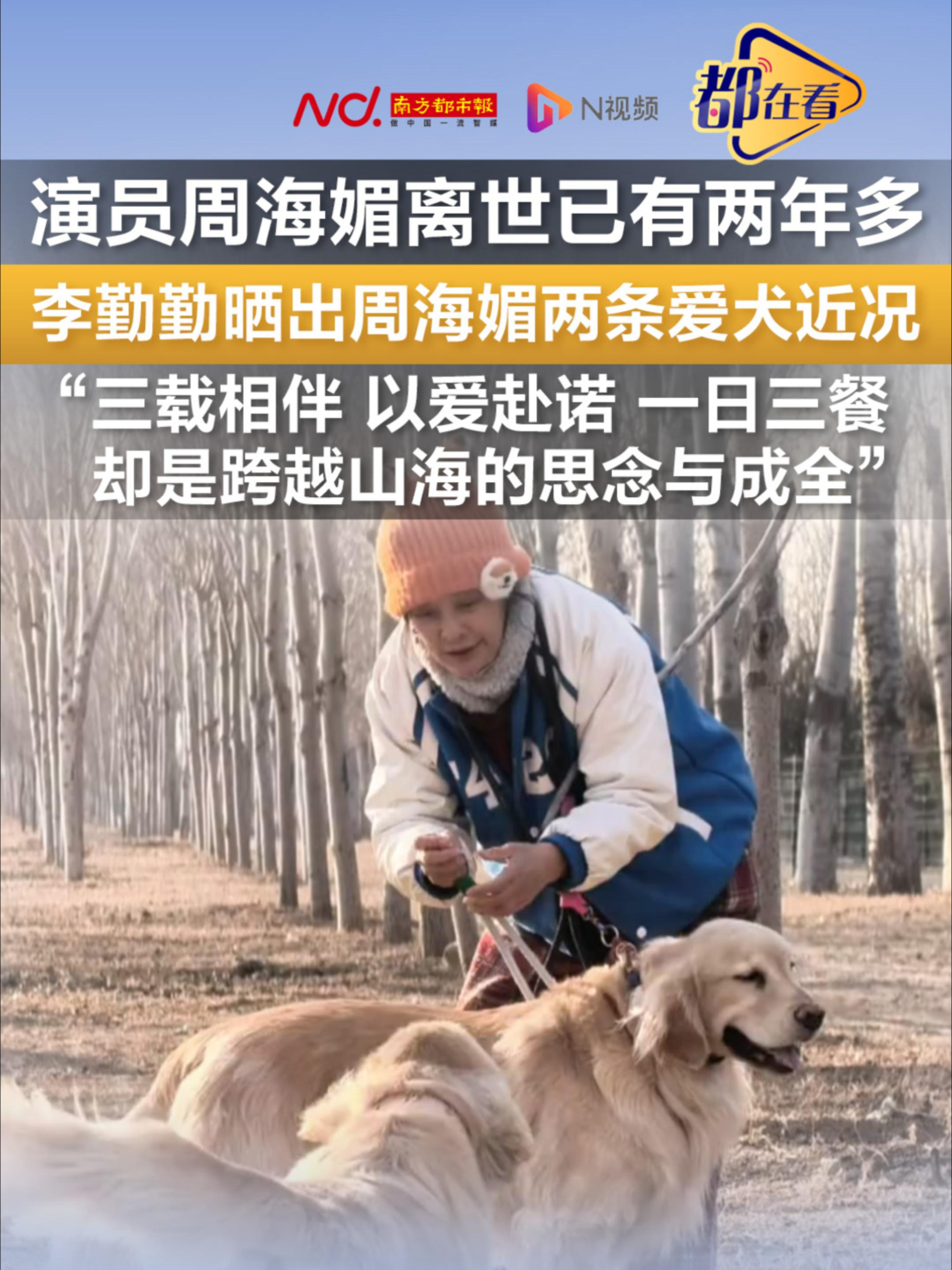 周海媚离世已有两年多，李勤勤晒出周海媚两条爱犬近况，“三载相伴，以爱赴诺，一日三餐，却是跨越山海的思念与成全”_腾讯新闻