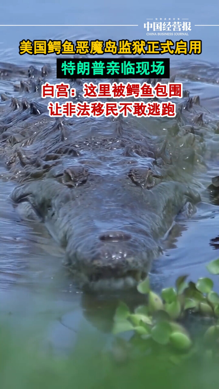 美国鳄鱼恶魔岛监狱正式启用！让非法移民者不敢逃跑_腾讯新闻