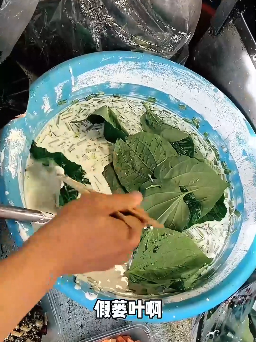 广西特色 “假蒌叶”，民间传统美食的独特魅力！_腾讯新闻