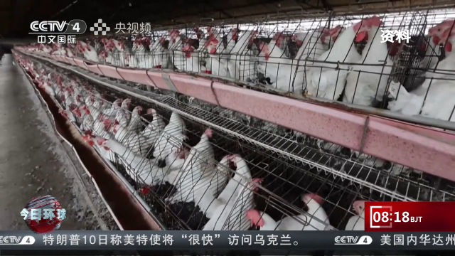 世卫组织：与美政府就H5N1禽流感进行信息交流存在挑战_腾讯新闻
