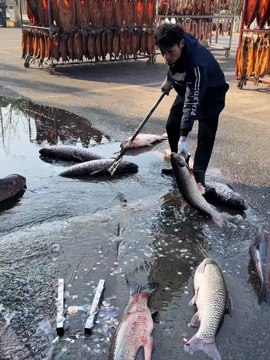 这杀鱼手法太暴力了吧_腾讯新闻