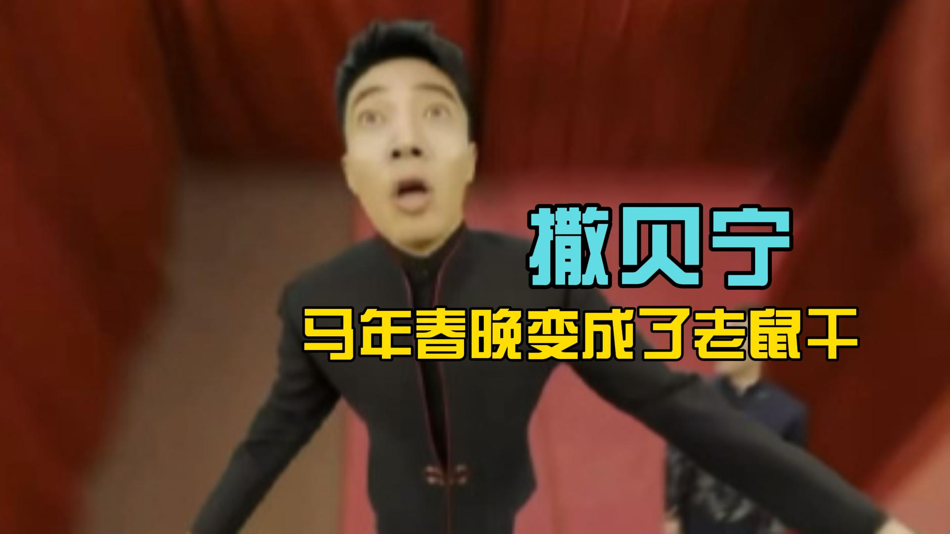 谁把撒贝宁做成老鼠干了？没了撒贝宁，谁还逗我笑_腾讯新闻
