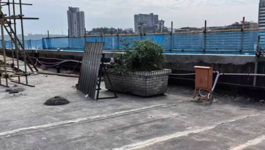 嫌犯整容改名，匿踪近三十年：“花坛白骨案”一审中被告人翻供