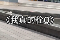 深圳腾讯公司， 为了应对台风把家门前的qq栓起来！真成了栓Q_腾讯新闻