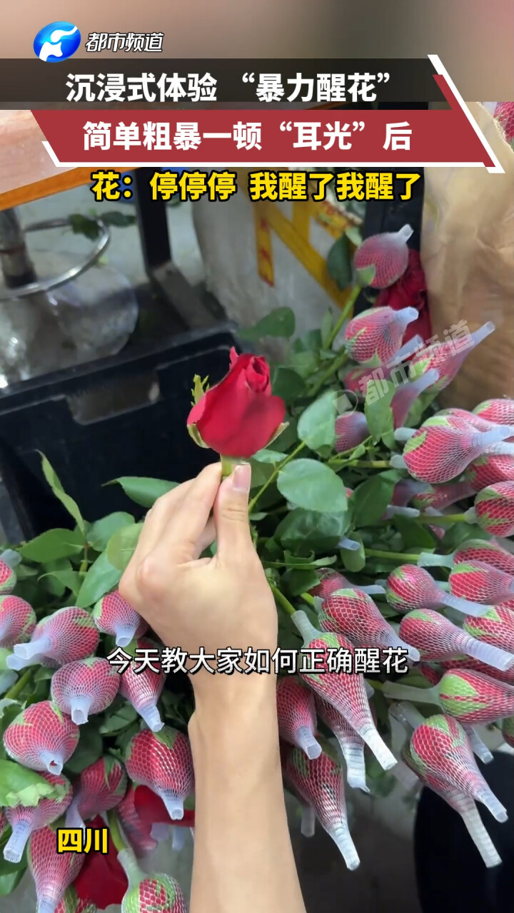醒花需要光合作用 耳光也是光_腾讯新闻