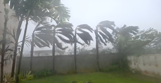 视频丨今年预计有7~9个台风登陆我国 专家分析缩略图