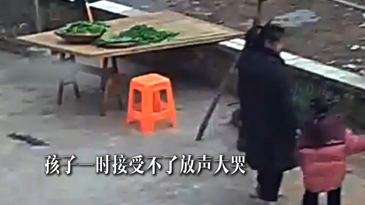 放下工作不能养家 拿起工作委屈了孩子_腾讯新闻