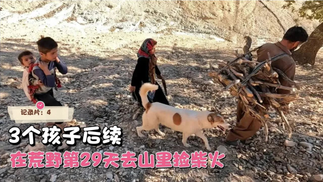 3个幼小孩子，被抛弃在荒野的第29天，邻居带他们去山里捡柴火，纪录片_腾讯新闻