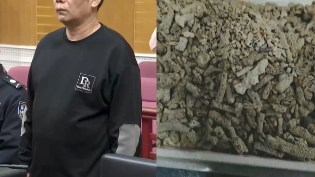 男子将珊瑚石当“水质净化石”卖获刑：想过可能违法，没想到会犯罪_腾讯新闻
